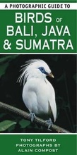 Cover: A Photographic Guide to Birds of Bali, Java and Sumatra - New Holland Publishers Ltd