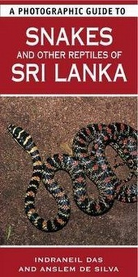 Abbildung von: A Photographic Guide to Snakes & Other Reptiles of Sri Lanka - New Holland Publishers Ltd