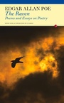 Cover: Raven - Fyfield Books