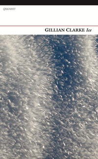 Enlarge image Cover: Ice - Carcanet Poetry