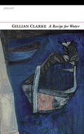 Cover: A Recipe for Water - Carcanet Poetry