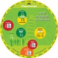 Cover: Italian Verb Wheel (Verbi Irregolari in Italiano) - Linguascope