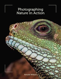 Abbildung von: Photographing Nature in Action - Crowood