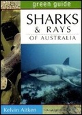 Cover: Sharks and Rays of Australia - Reed New Holland