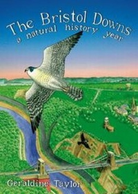 Enlarge image Cover: The Bristol Downs - Broadcast Books