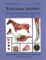 Cover: Functional Anatomy - Kenilworth Press Ltd