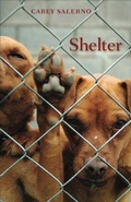 Cover: Shelter - ALICE JAMES BOOKS