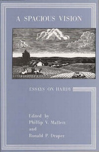 Enlarge image Cover: A Spacious Vision - Patten Press