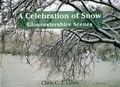 Cover: A Celebration of Snow - Reardon Publishing