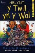 Cover: Cyfres Cled: Helynt y Twll yn y Wal - Honno Ltd