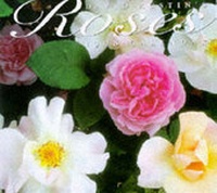Enlarge image Cover: David Austin's Roses: 1998 - The Ink Group