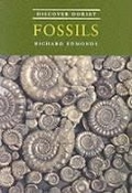 Cover: Discover Dorset Fossils - The Dovecote Press