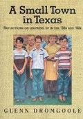 Cover: A Small Town in Texas - State House Press