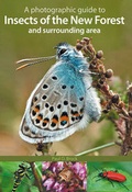 Cover: A Photographic Guide to Insects of the New Forest and Surrounding Area - Pisces Publications