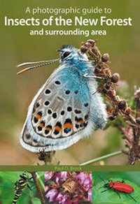 Enlarge image Cover: A Photographic Guide to Insects of the New Forest and Surrounding Area - Pisces Publications