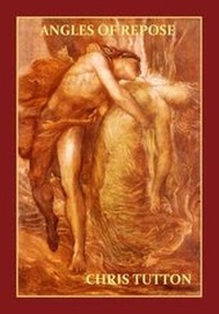 Enlarge image Cover: Angles of Repose - Avalanche Books
