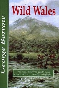 Abbildung von: Wild Wales - Bridge Books