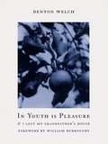 Cover: In Youth Is Pleasure - Exact Change,U.S.