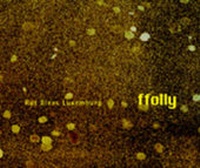 Enlarge image Cover: Ffolly Rut Blees Luxemburg - Ffotogallery