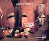 Enlarge image Cover: Visual Pleasure - Ffotogallery