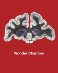 Cover: Wonder Chamber - Ffotogallery