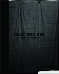 Cover: Wait and See - Ffotogallery