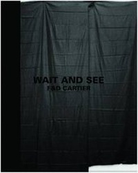 Enlarge image Cover: Wait and See - Ffotogallery