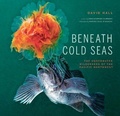 Cover: Beneath Cold Seas - Saraband