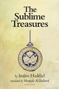 Cover: Sublime Treasures - Fons Vitae,US