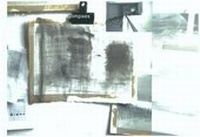 Enlarge image Cover: Cardinal Glimpses - University of Edinburgh Talbot Rice Gallery