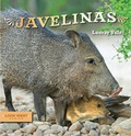 Cover: Javelinas - Rio Nuevo Publishers