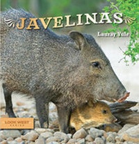 Enlarge image Cover: Javelinas - Rio Nuevo Publishers