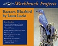 Cover: Eastern Bluebird - Stackpole Magazines