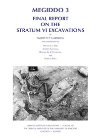 Enlarge image Cover: Megiddo 3 - Institute for the Study of Ancient Cultures