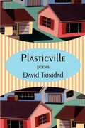 Cover: Plasticville - Turtle Point Press