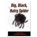 Cover: Big, Black, Hairy Spider - Rainbow Reading Programme