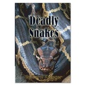 Cover: Deadly Snakes - Rainbow Reading Programme