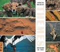 Cover: African Wildlife Themes - Struik Publishers