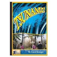 Enlarge image Cover: Tsunami - Rainbow Reading Programme