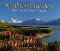 Abbildung von: Southern Grandeur - The Caxton Press