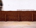 Cover: Bricks and Bees - University of Sunderland Reg Vardy Gallery
