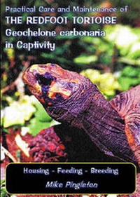 Abbildung von: Practical Care and Maintenance of the Redfoot Tortoise Geochelone Carbonaria in Captivity - Carapace Press