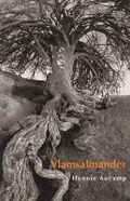 Cover: Vlamsalmander - Protea Boekhuis