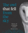 Cover: The Owl That Fell from the Sky - Awa Press