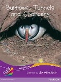 Cover: Sails Fluency Purple Set 2 - Pearson Heinemann NZ