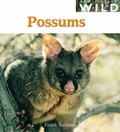 Cover: Possums (NZ Wild Series) - Raupo Publishing (NZ) Ltd