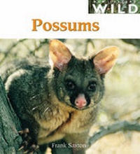 Enlarge image Cover: Possums (NZ Wild Series) - Raupo Publishing (NZ) Ltd