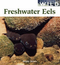 Enlarge image Cover: Freshwater Eels - Raupo Publishing (NZ) Ltd