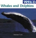 Cover: Whales and Dolphins - Raupo Publishing (NZ) Ltd