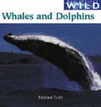 Enlarge image Cover: Whales and Dolphins - Raupo Publishing (NZ) Ltd